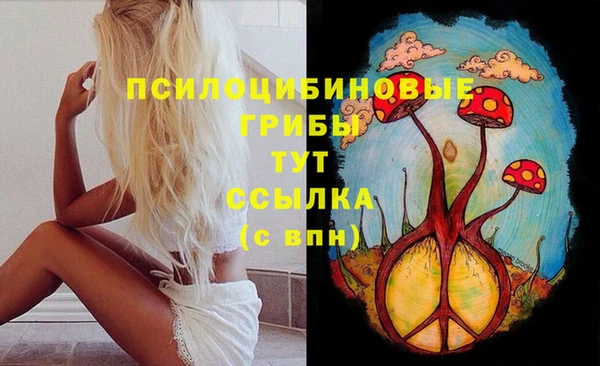 стаф Заволжье