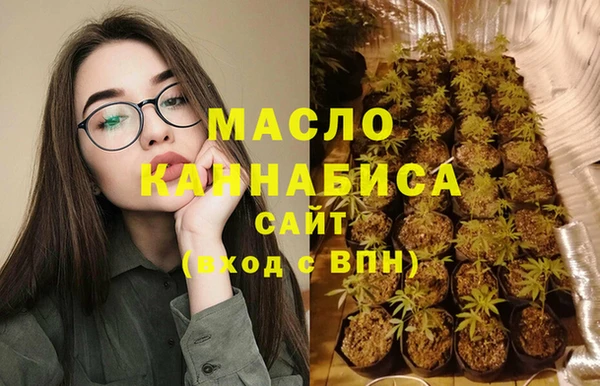 тгк Ельня