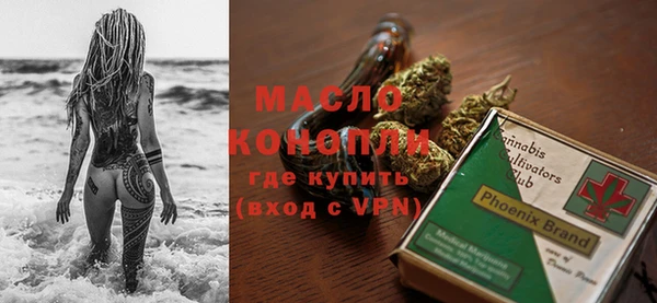тгк Ельня