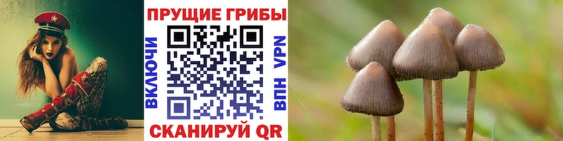 mega вход  Исилькуль  Псилоцибиновые грибы Psilocybine cubensis 
